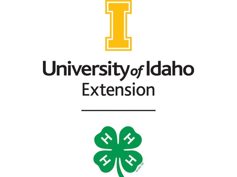 Logo for 2026 Bannock County 4-H Fair